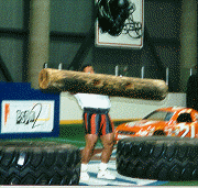 wpe24899.gif (22636 bytes)
