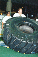 wpe01578.gif (19682 bytes)