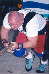 wpe87604.gif (30901 bytes)