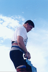 wpe56553.gif (18438 bytes)