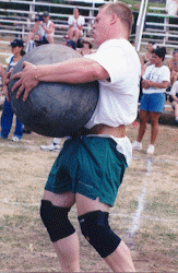 wpe89670.gif (32688 bytes)