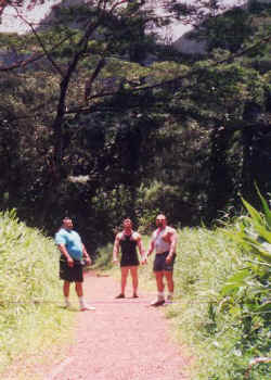hawiijungle.jpg (60216 bytes)