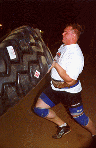 wpe95825.gif (31477 bytes)