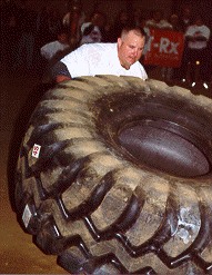 wpe60411.gif (34569 bytes)